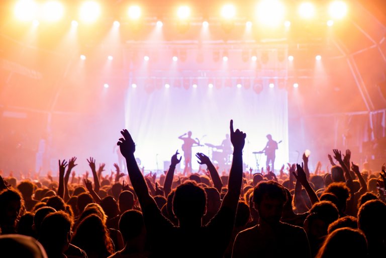 The crowd in a concert