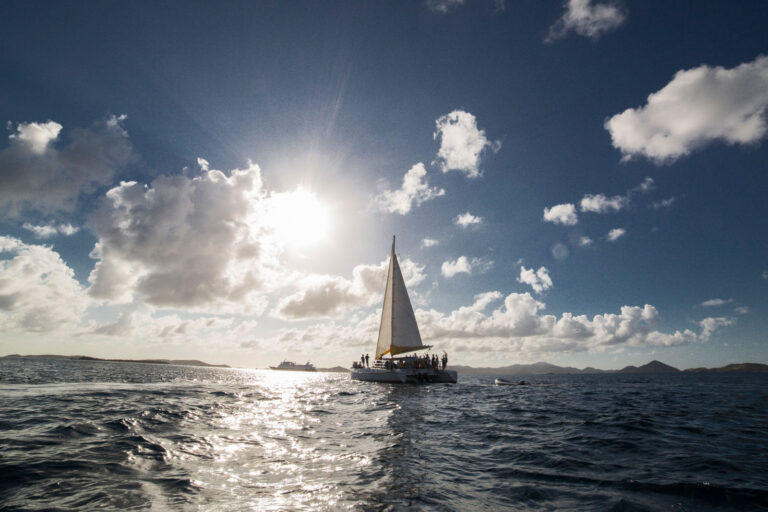 St. Thomas, Caribbean, shore excursion, St. John Half Day Champagne Cat Sail, catamaran, seascape, scenic